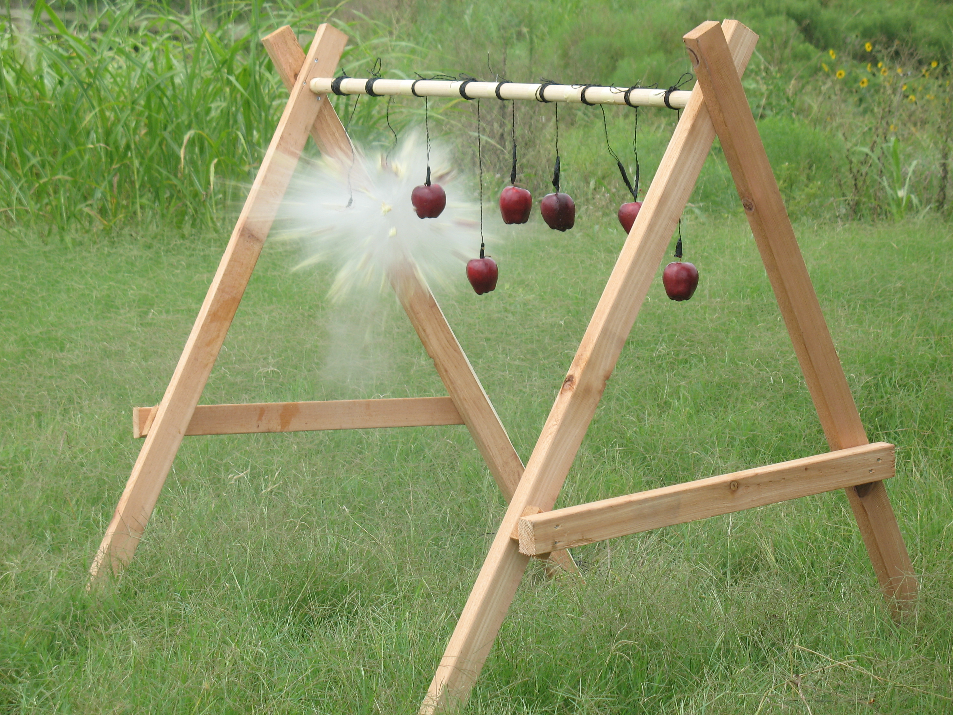 Apples get shot