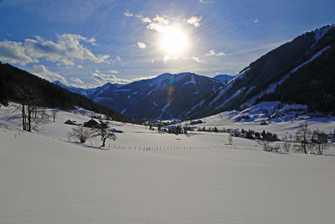 IMG_7211.jpg