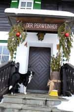 Hof_Hund_aussen (2).JPG