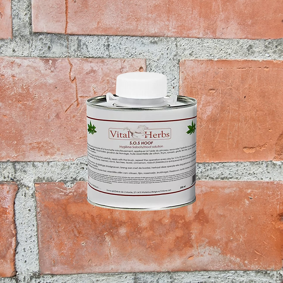 S.O.S Hoof