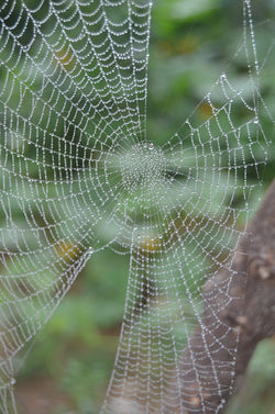 IMG-20220906-WA0012