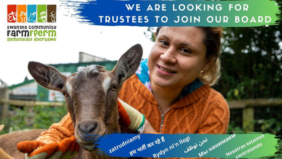 Trustees Needed