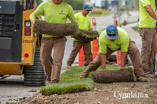 LandscapeConstruction_web_edited.jpg