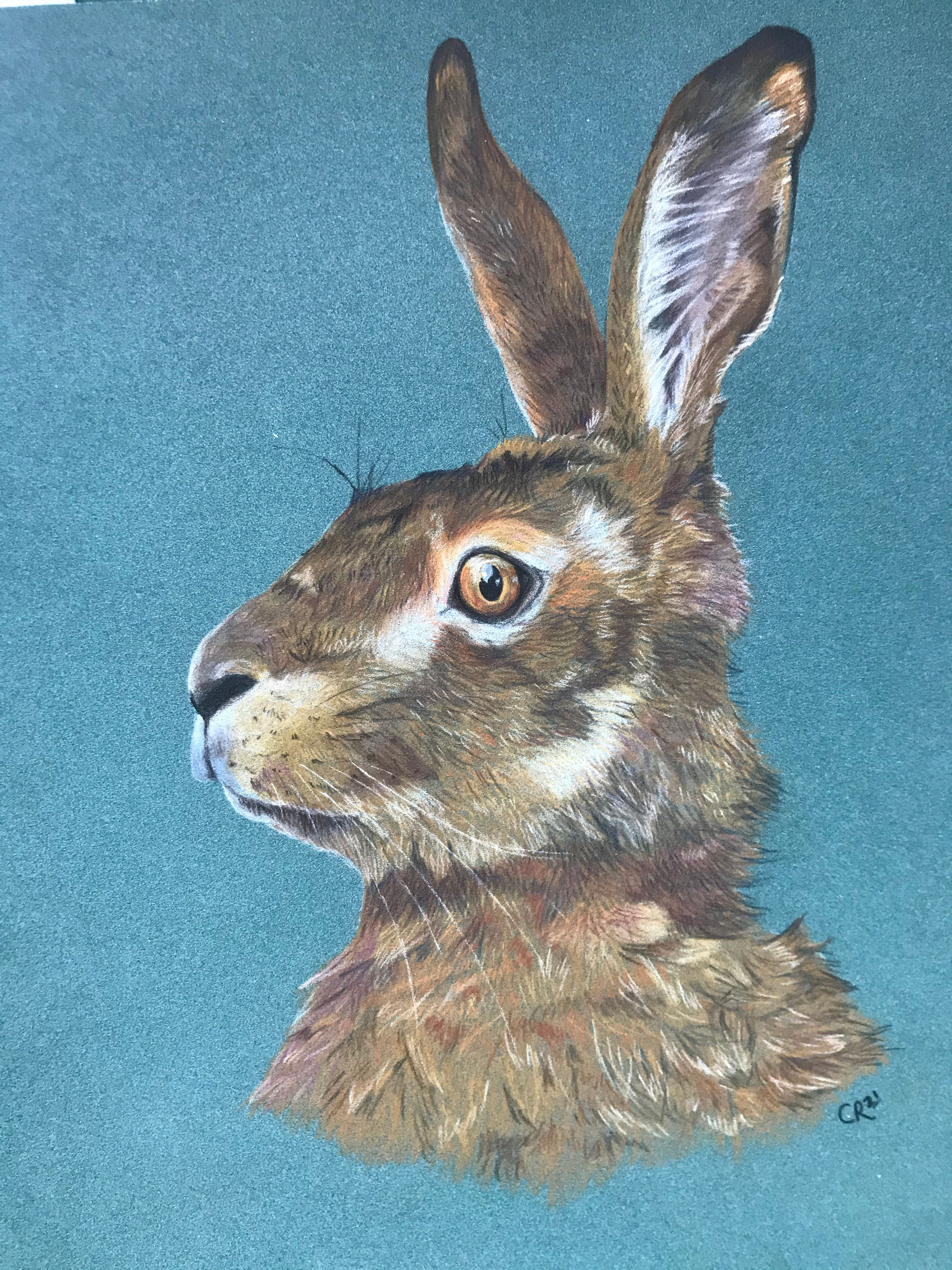 Horatio Hare Print (2 sizes)