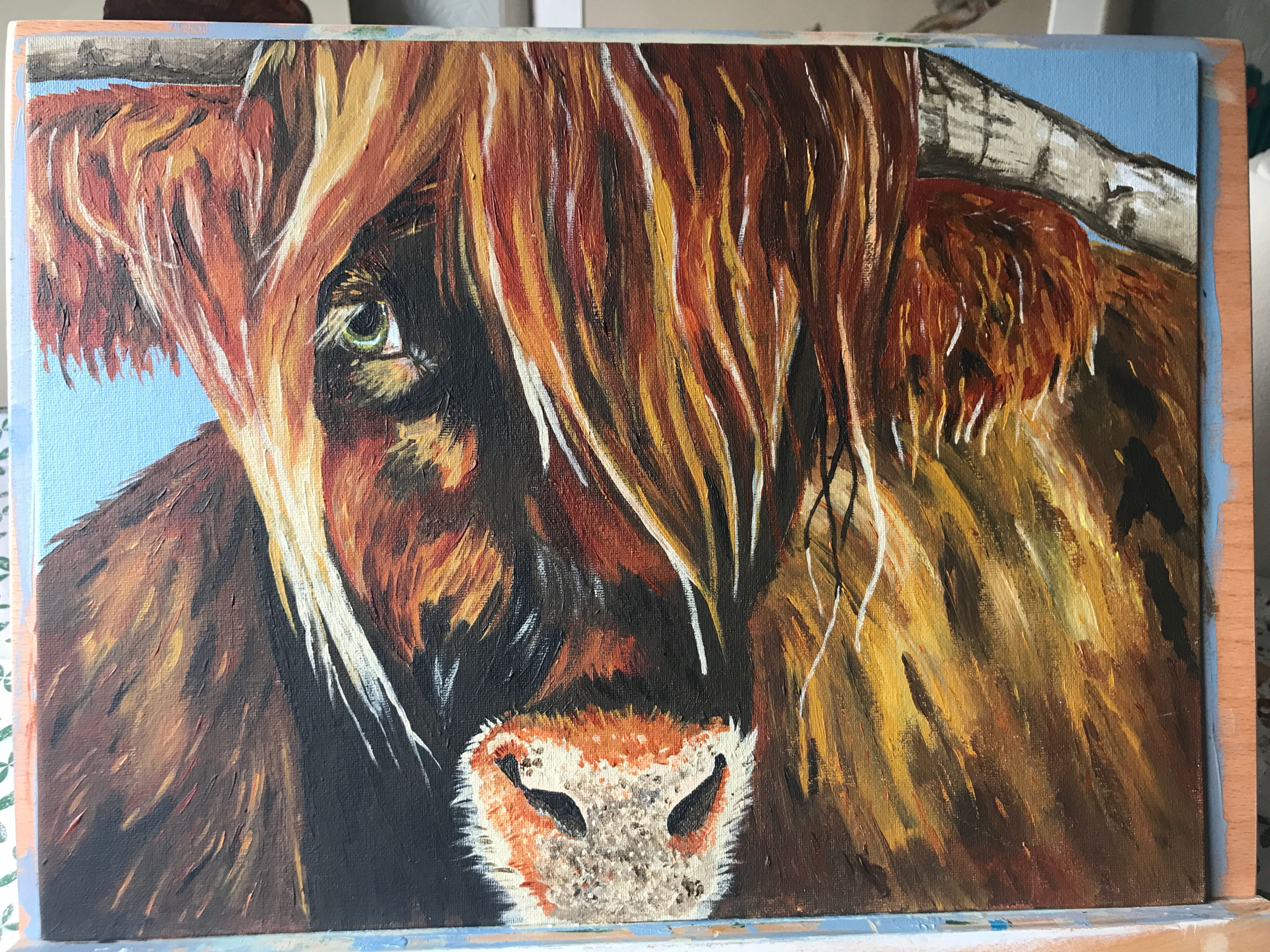 Highland Cow acrylic painting, framed