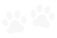 paw_edited.png