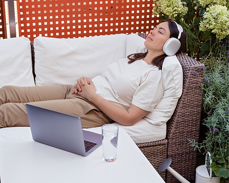 Sandro promo box website (5).png