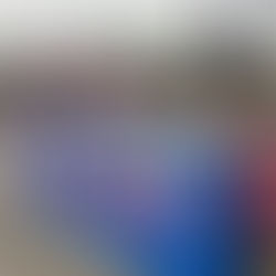 Livingston Dems Celebrate the 4th!