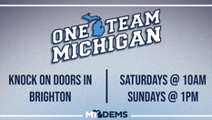 Help Build the Blue Wave!