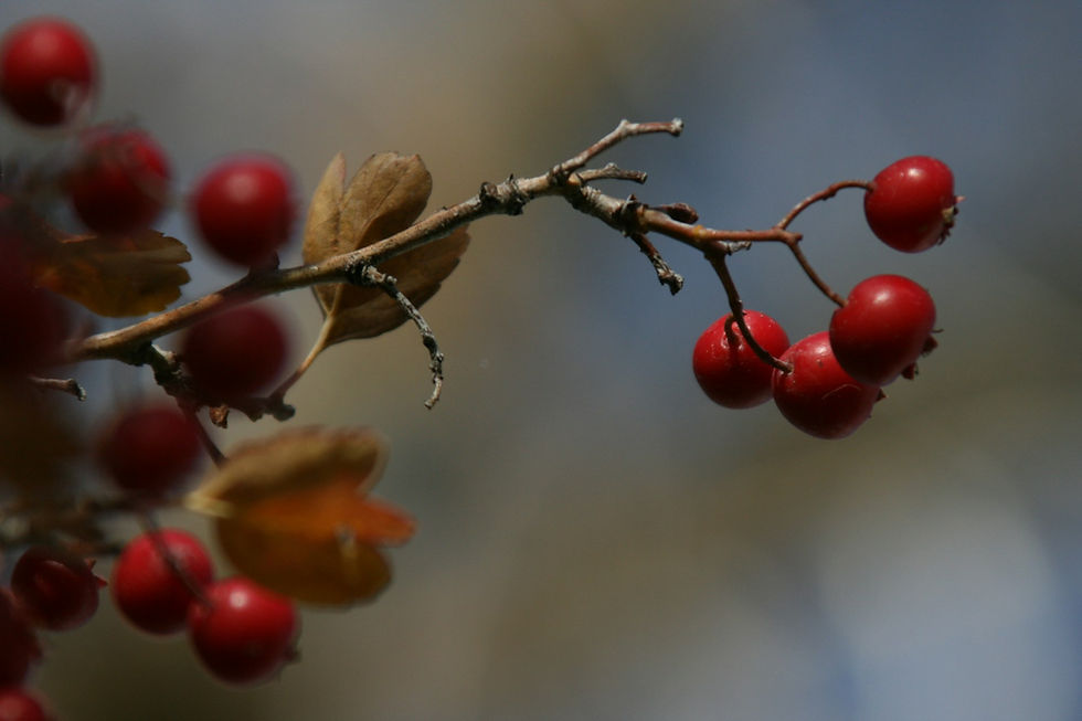 Photo by Chuck G on Unsplash