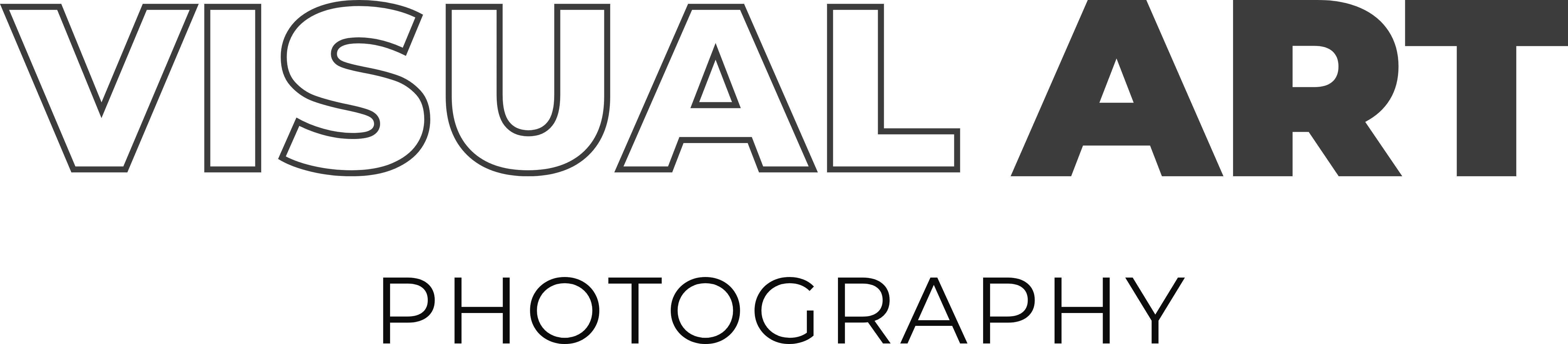 לוגו של חברת Visual art photography