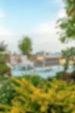 פינת ישיבה על דק עץ בגינה מוקפת פריחה צהובה ונוף פתוח לקו הרקיע של העיר