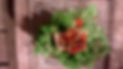 salade c.jpg