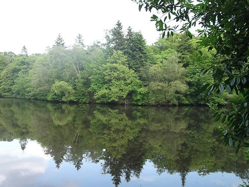 Etang Domaine de la Boulaie