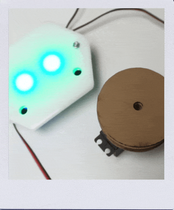 Bucky_Polaroid-Motor.gif