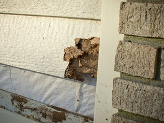 Termite Prevention for Homes with Wooden Decks and Patios