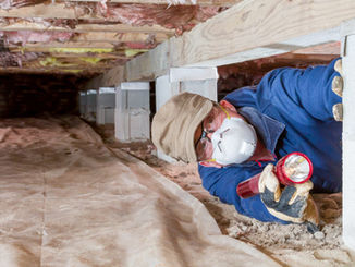 The Financial Benefits of Investing in Termite Prevention vs. Dealing With Damage