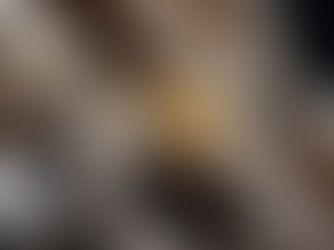 Explore Different Termite Treatment Options: Which One Is Most Effective for Your Home?