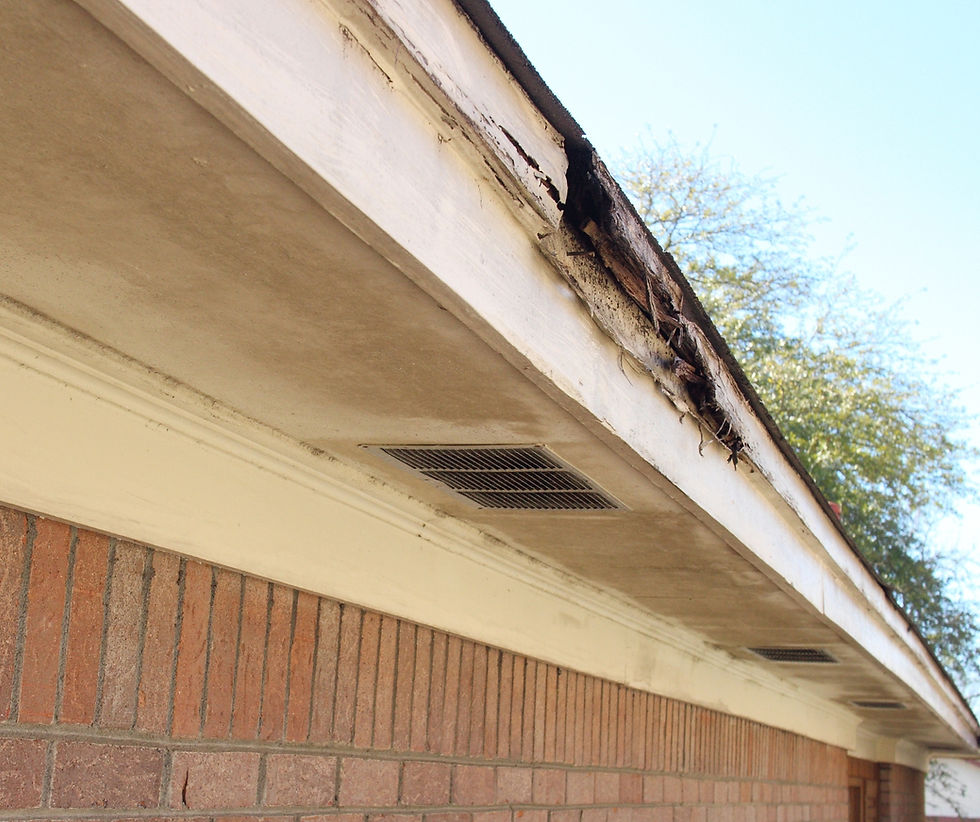 termite damage