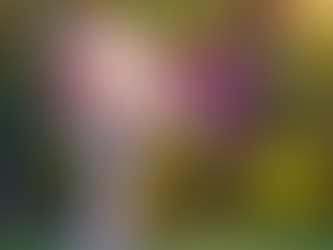 How to Prevent Termites in New Construction