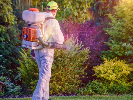 How to Prevent Termites in New Construction
