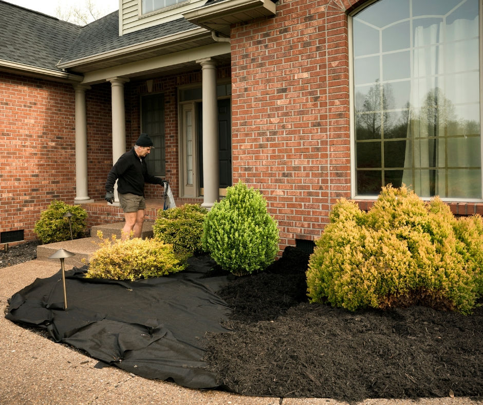 Proper mulch placement leaving a gap from house foundation.