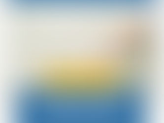 The Future of Home Protection with Grab Bar Handle Installation