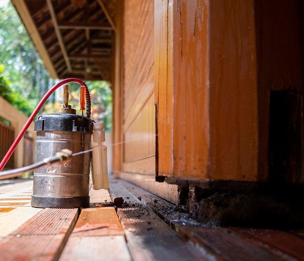 Safe and Effective Treatment Options for Every Pest