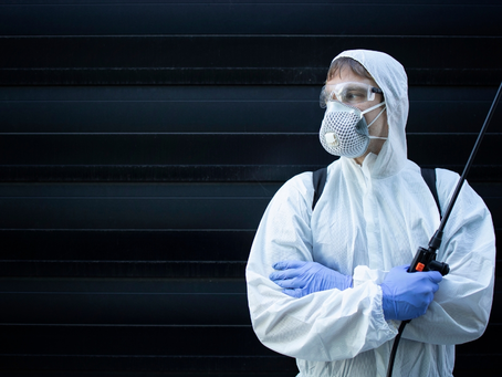 How to Treat Termite-Prone Areas in Your Home