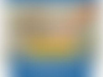 Why Professional Grab Bar Handle Installation Is Essential