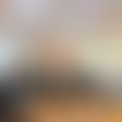 The Gestalt Experience