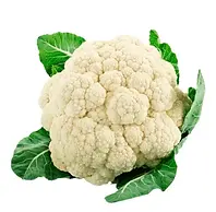 couve-flor chácara das folhagens