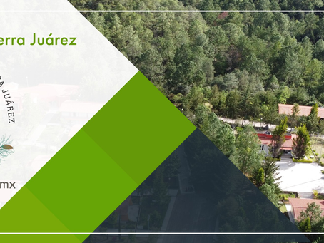 La Universidad de la Sierra Juárez gana el primer lugar en la Convocatoria Escuelas por la Tierra México 2024