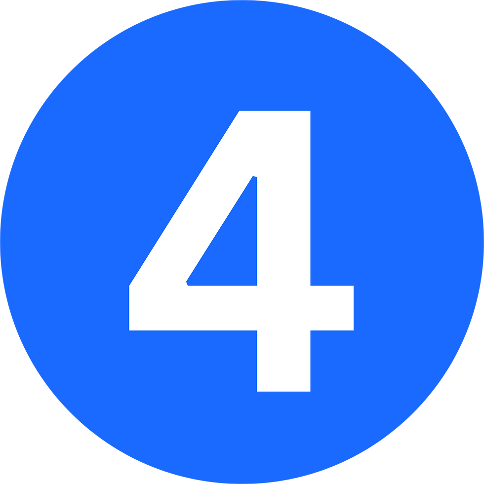 Ginger (18).png