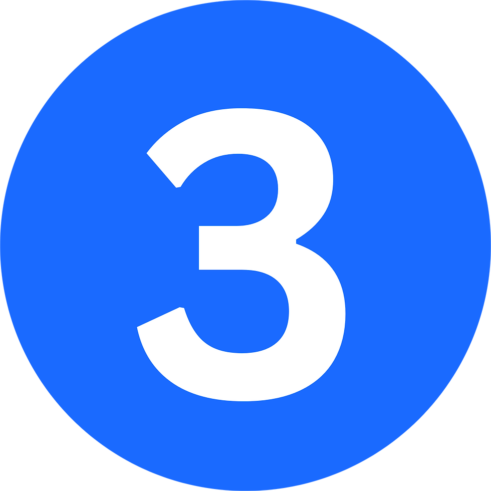 Ginger (17).png