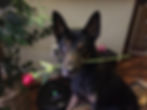 Sarge-My Valentine