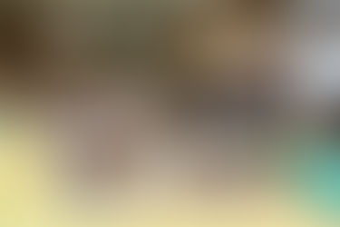 第3回広島県宗正道場親善交流大会が行われました。