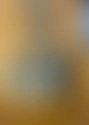 第26回大洲空手道型大会が行われました