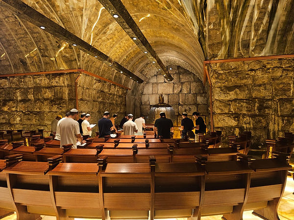 WhatsApp Image 2024-09-05 at 16.25.56.jpeg