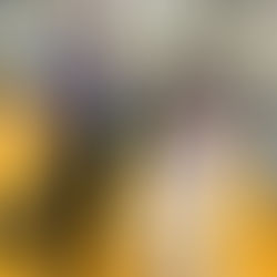 第7回極真空手広島親善交流大会が行われました