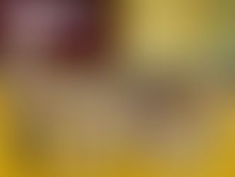 第1回日本強育空手道選手権大会が行われました。