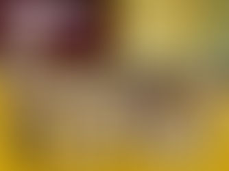 第1回日本強育空手道選手権大会が行われました。