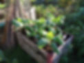437E7008-9CE3-4862-8CA1-F29A20F7CC14.jpeg