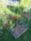 383898CB-3852-44E2-8AB7-FC58C38F0085.jpeg