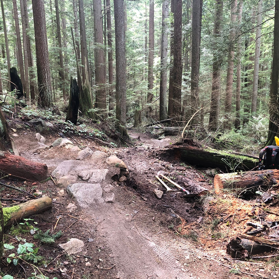 trail in forest with ugly braided line