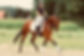166995239_272547864414196_2081589382841879269_n.jpg