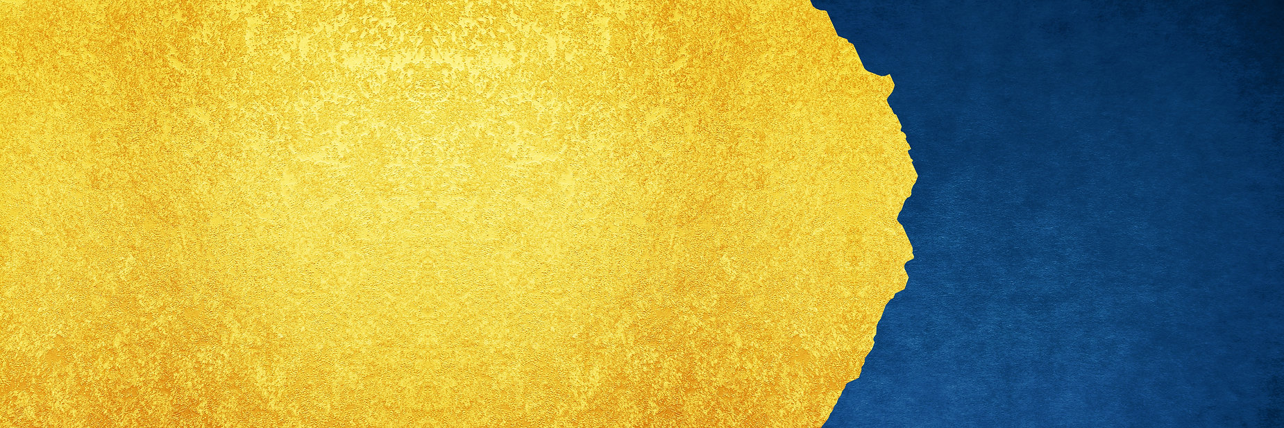 AdobeStock_460553929.jpeg