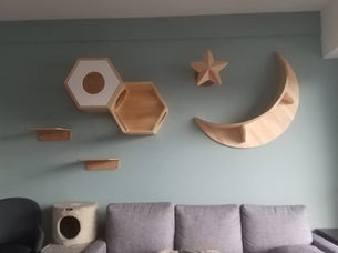 ★こだわりのキャットウォーク★