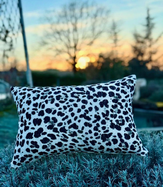 Thumbnail: White Leopard