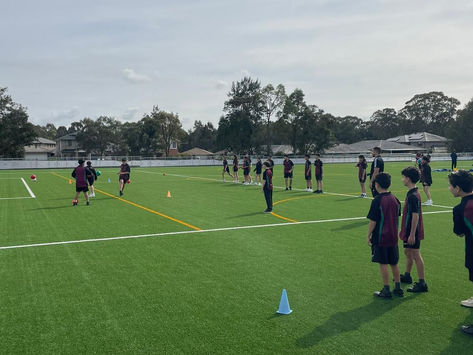 New and Exciting Activities planned for our PDHPE Students as Term 4 Comes to an end